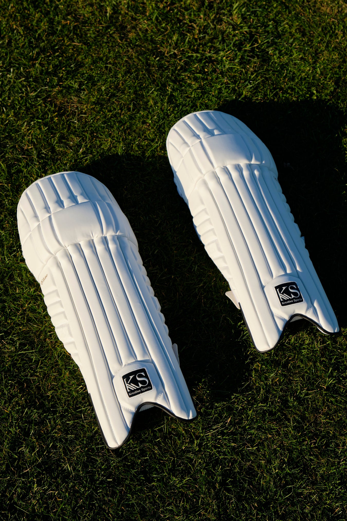 Wicket Keeper Pads